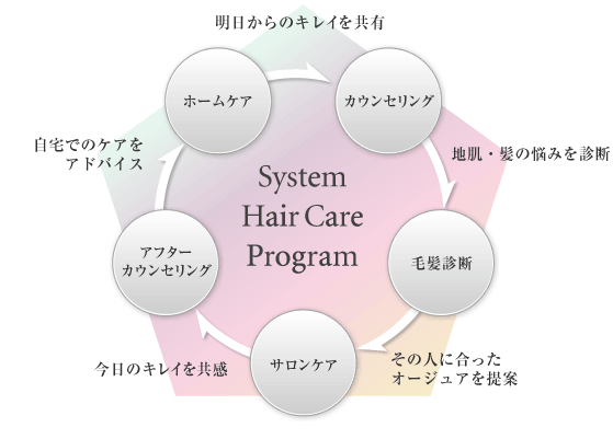 System HairCare Program